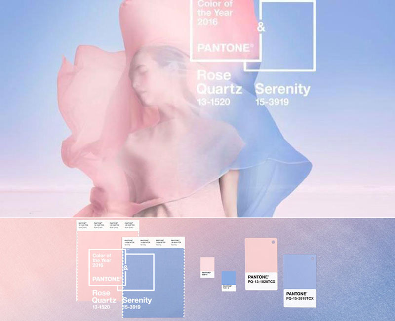 Banner.jpg Banner.jpg