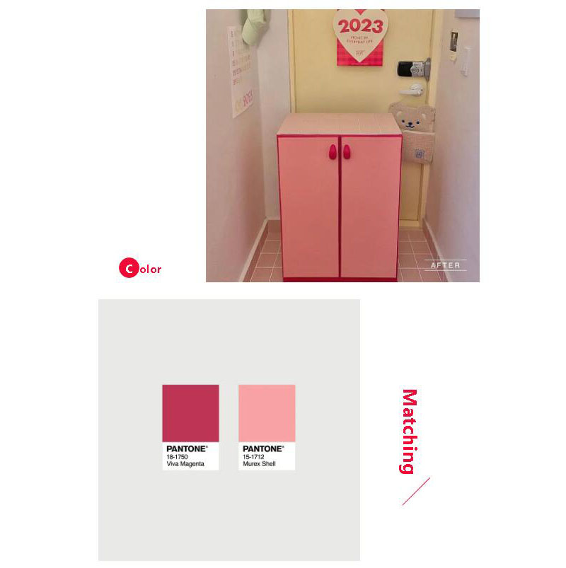 潘通2023年度色收纳柜 潘通2023年度色收纳柜