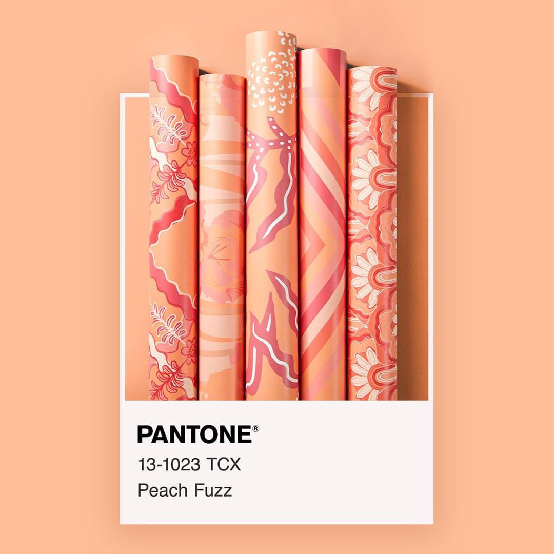 PANTONE 2024 年度代表色.jpg