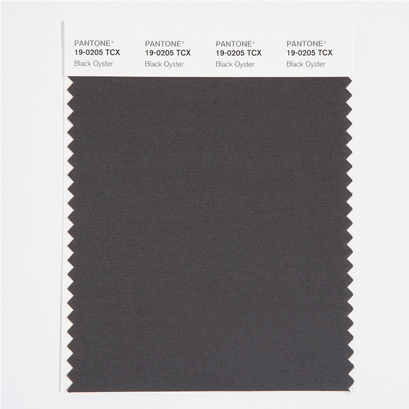 PANTONE 19-0205TCX Black Oyster - 千通彩色库 PANTONE 19-0205TCX Black Oyster - 千通彩色库