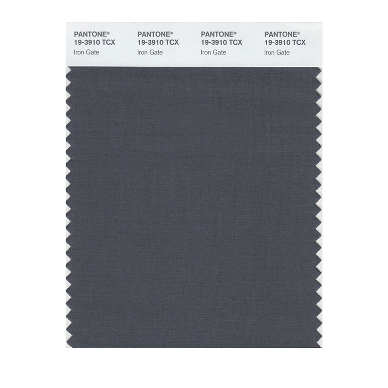 ㍽㈱♡ PANTONE 19-3910TCX Iron Gate - 千通彩色库