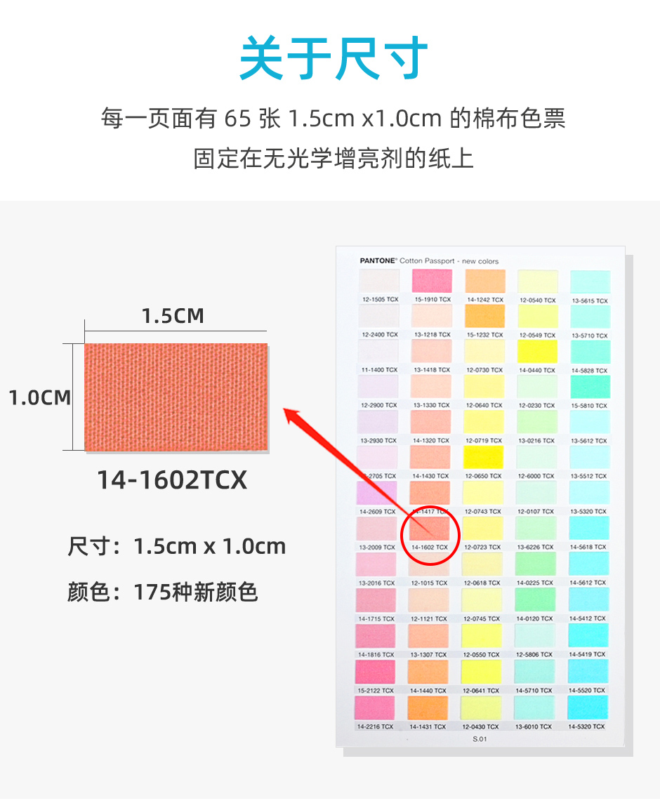 2024潘通TCX色卡新增色