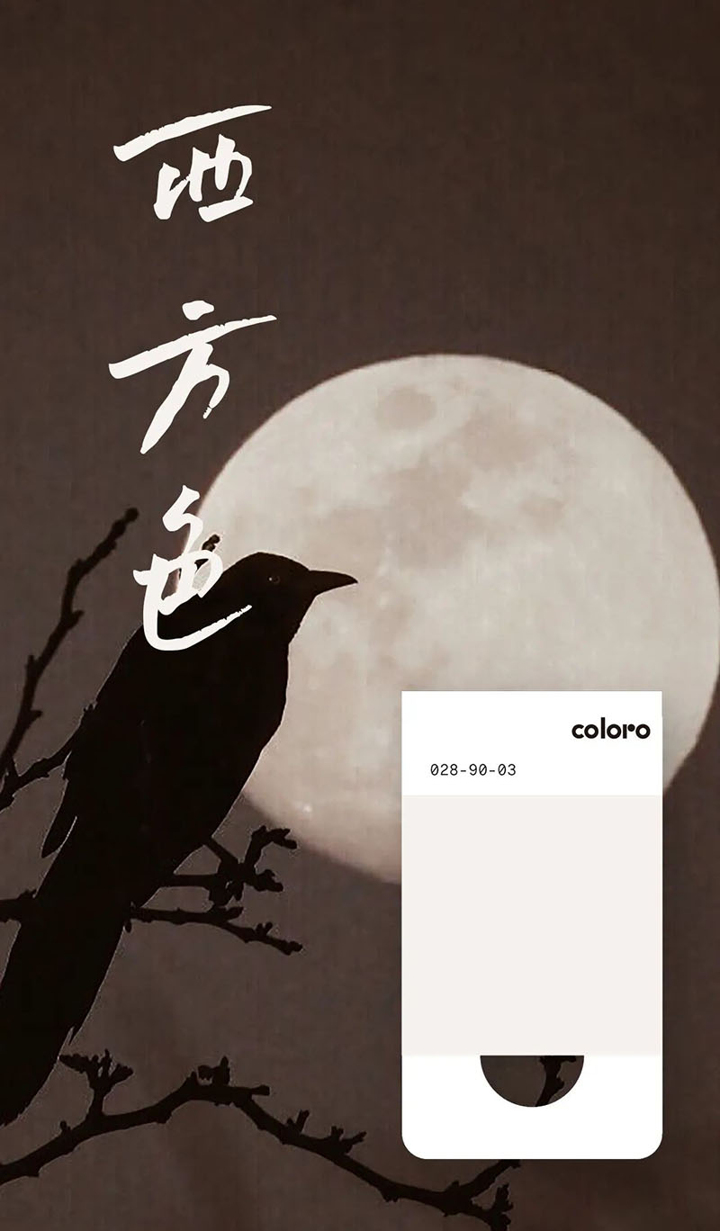 coloro色号028-90-03