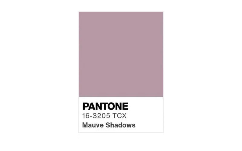 PANTONE 16-3205 TCX