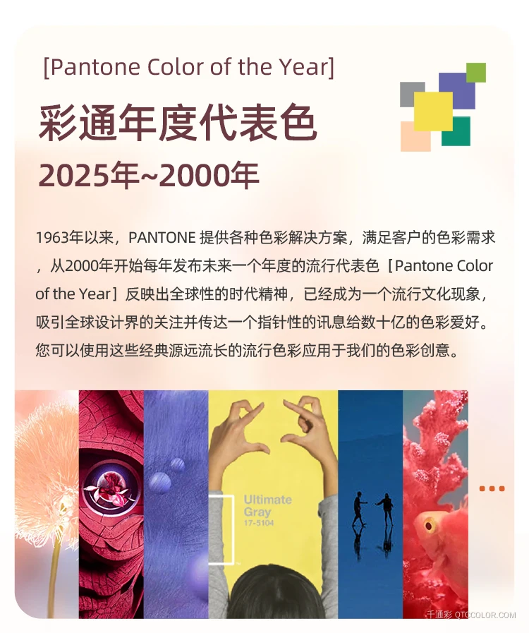 Pantone潘通2025年度代表色TCX色卡17-1230 Mocha Mousse摩卡慕斯
